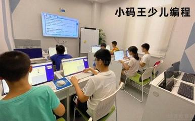 成都小碼王少兒編程 網(wǎng)絡(luò)投資管理與咨詢